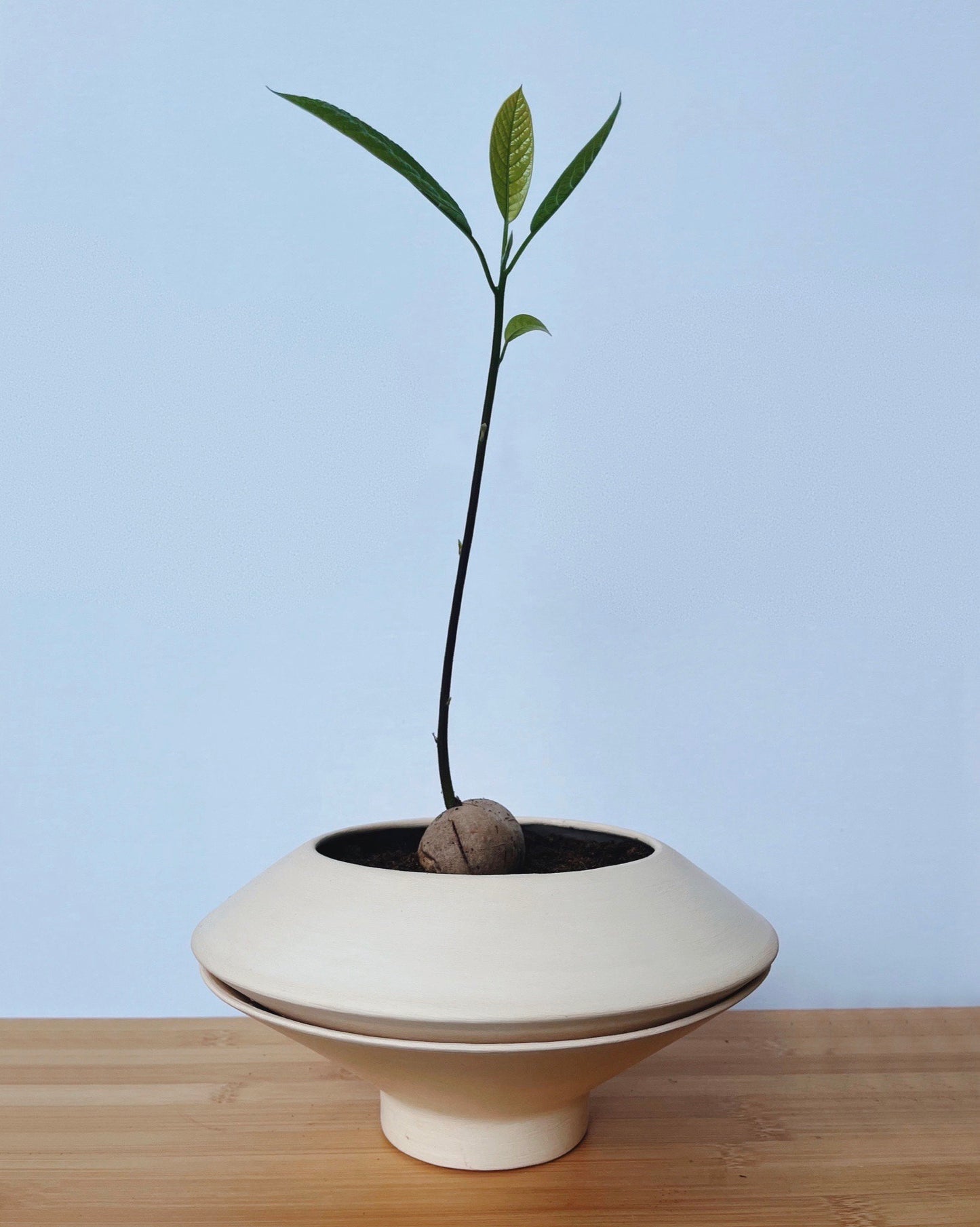 Planter Self-watering, ceramic, handmade in Italy