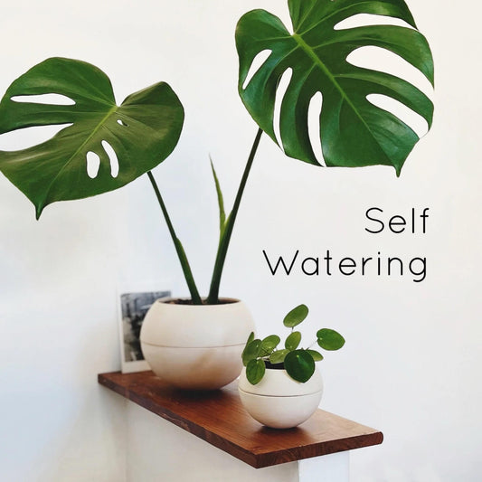 Set of 2 modern Planters - Unique, handmade from Italy, ceramic, self-watering system