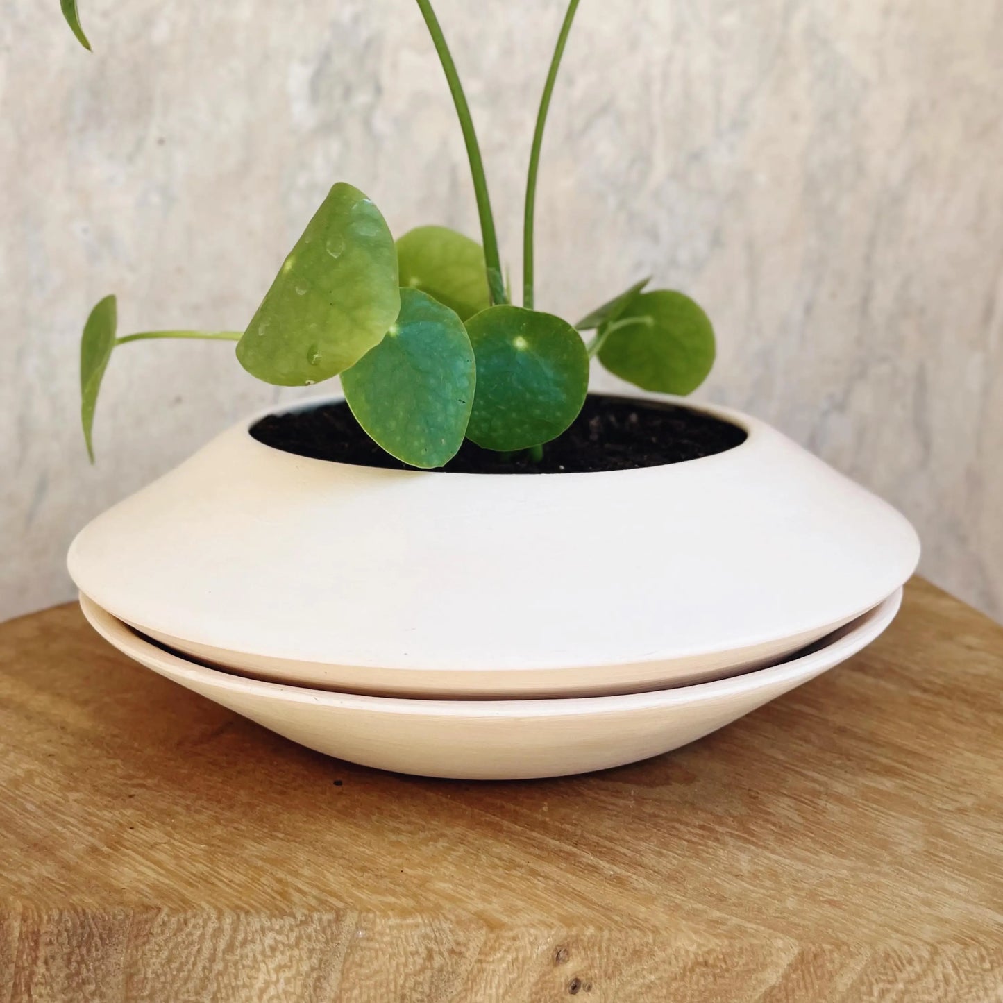 Ceramic Planter, Pot with drainage hole, UFO Planter, Indoor Plant Pot