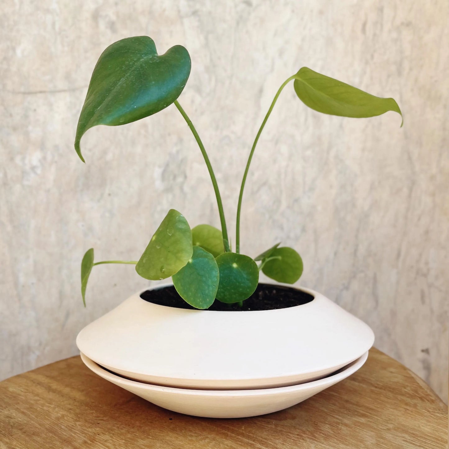 Ceramic Planter, Pot with drainage hole, UFO Planter, Indoor Plant Pot