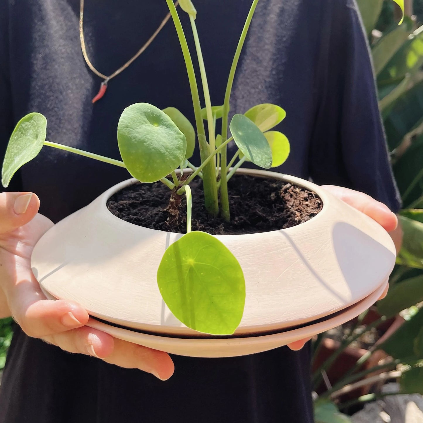 Ceramic Planter, Pot with drainage hole, UFO Planter, Indoor Plant Pot