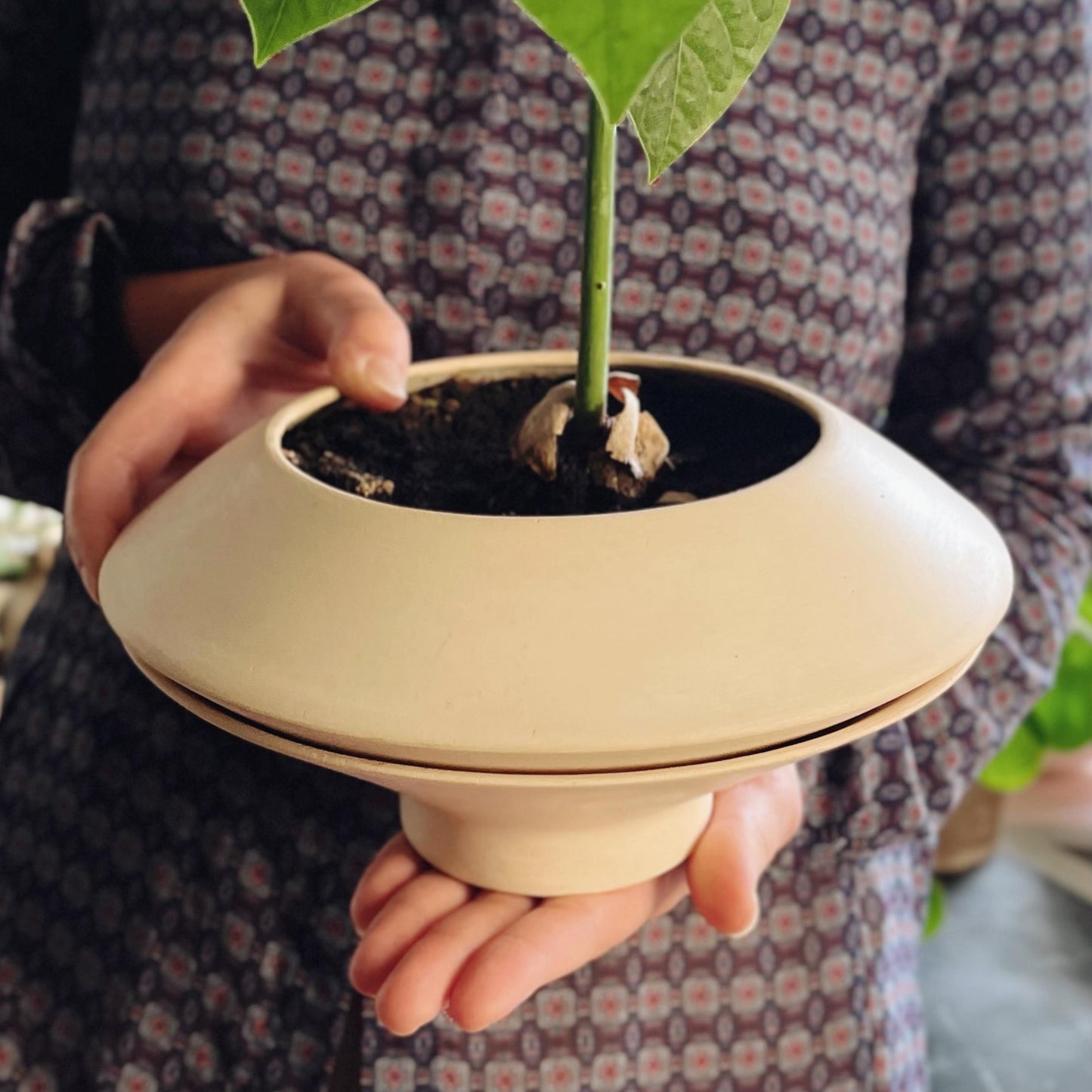 Planter Self-watering, ceramic, handmade in Italy